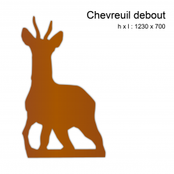 Chevreuil debout